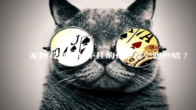 宠物看到一丝不挂的你, 都会想些啥?
