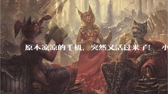 原本凉凉的手机，突然又活过来了！_小屏_Pro_机型