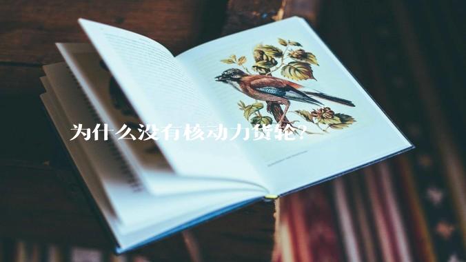 为什么没有核动力货轮？