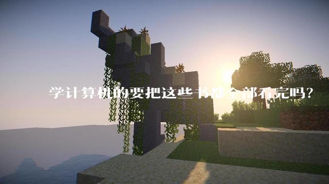 学计算机的要把这些书都全部看完吗？