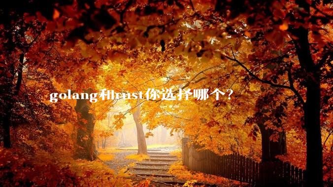golang和rust你选择哪个？