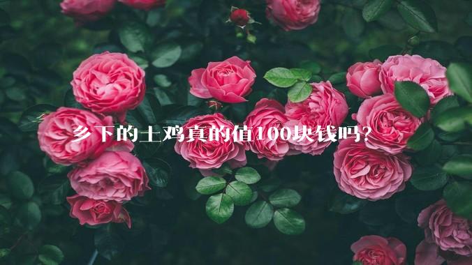 乡下的土鸡真的值100块钱吗？