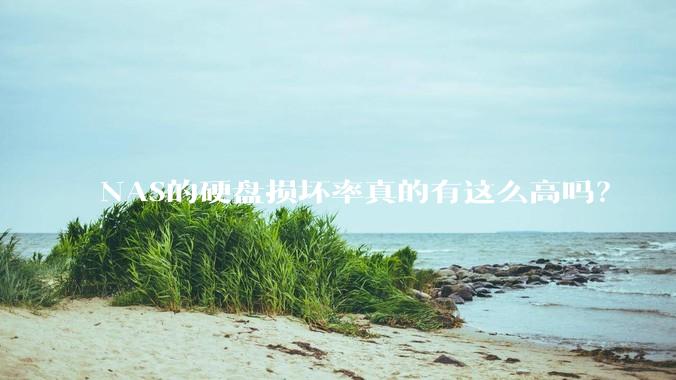 NAS的硬盘损坏率真的有这么高吗？